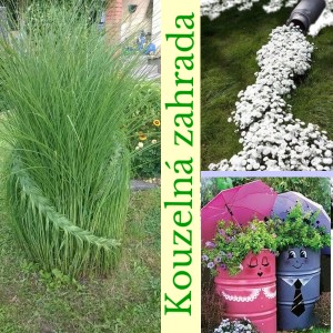 Kouzeln zahrada
