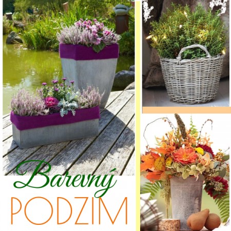 Barevný podzim