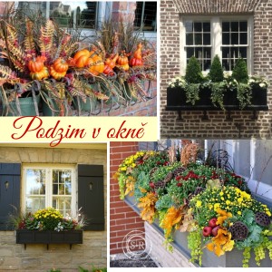 Podzim na oknech