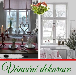 Vnon inspirace