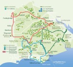 New Forest