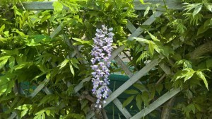 WP_20180503_12_27_41_Pro[1]
