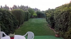 WP_20180909_06_24_22_Pro[1]