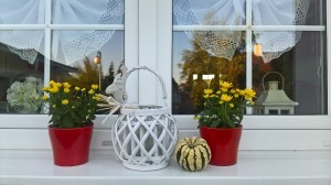 WP_20181001_07_37_36_Pro[1]