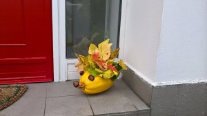 WP_20161005_10_17_53_Pro[1]