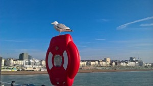 WP_20190202_10_52_05_Pro[1]