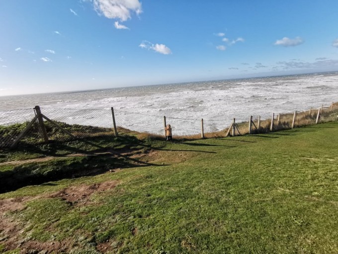 IMG-20190310-WA0003[1]