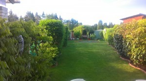 WP_20180503_06_51_16_Pro[1]