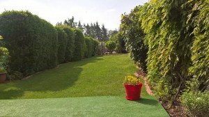 WP_20180504_10_10_41_Pro[1]