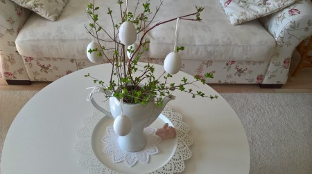 WP_20190403_11_37_03_Pro[1]