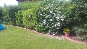imageresize[3]