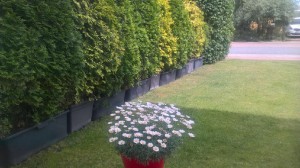 imageresize[2]