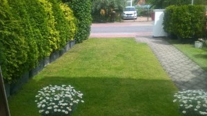imageresize[2]