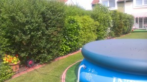 imageresize[3]