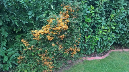 imageresize[4]