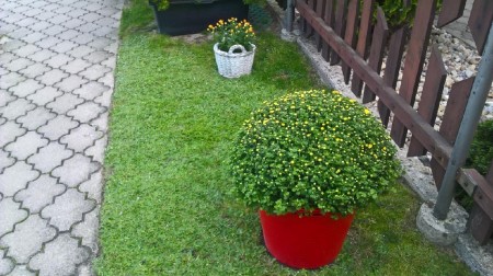 imageresize[2]