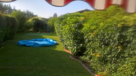 imageresize[2]