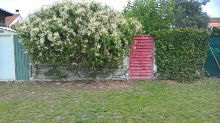 imageresize[1]