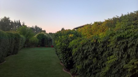 imageresize[3]