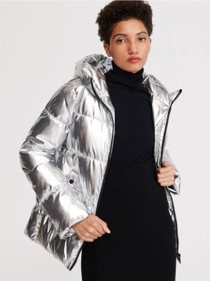 VY459-SLV-001[2]