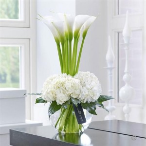 �85aab56c8e640f9c82f6fae1f1f66