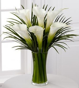 ad640552377bb023cacd39c5feebc4