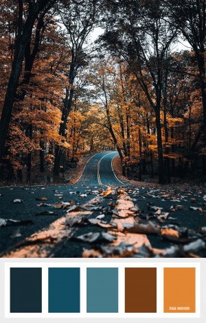brown-rust-teal-fall-color-pal