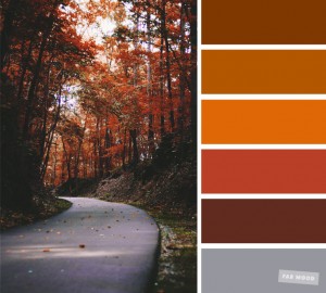 orange-autumn[1]