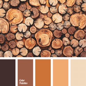 color-palette-2642[1]