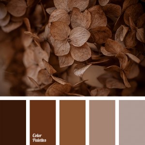 color-palette-2423[1]