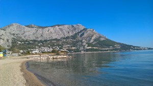 WP_20191025_15_21_35_Pro[1]
