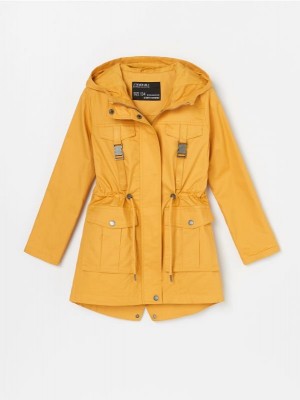 XL253-17X-002[1]